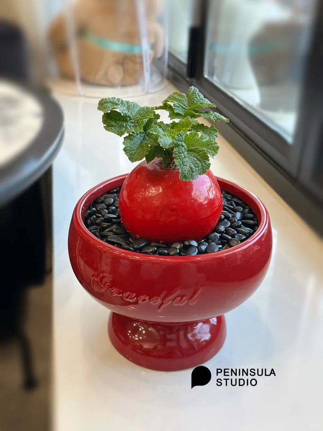 Trend lạ đón Tết: Ra chợ mua củ cải đỏ về cắm bình, ai ngờ thành chậu "Hồng Vận Đương Đầu" hút lộc cực xinh!- Ảnh 13. Trend lạ đón Tết: Ra chợ mua củ cải đỏ về cắm bình, ai ngờ thành chậu "Hồng Vận Đương Đầu" hút lộc cực xinh!- Ảnh 13.