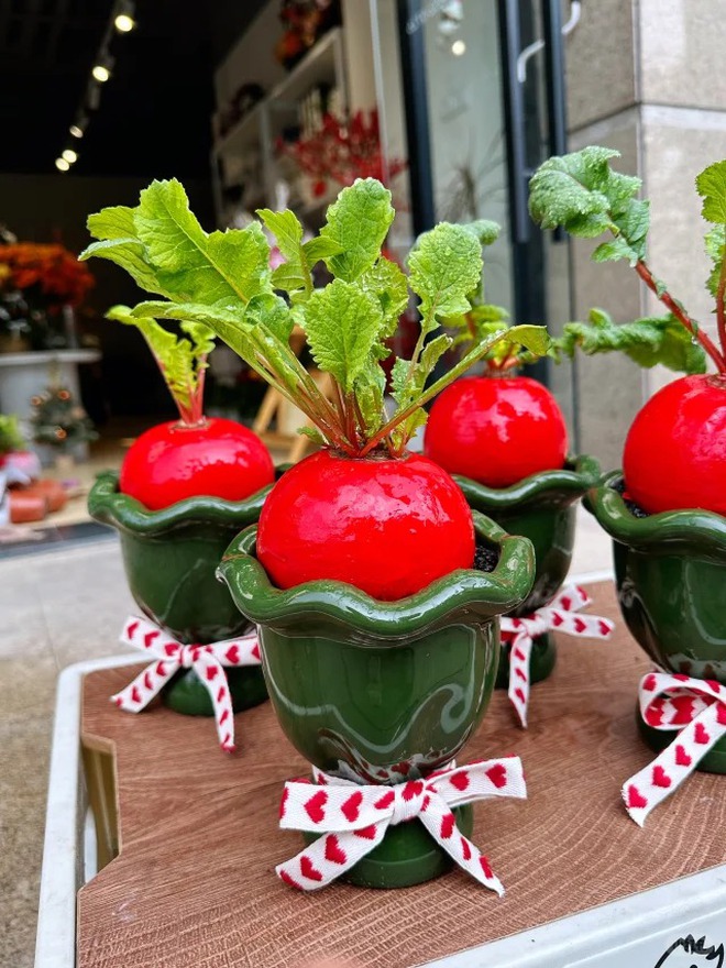 Trend lạ đón Tết: Ra chợ mua củ cải đỏ về cắm bình, ai ngờ thành chậu "Hồng Vận Đương Đầu" hút lộc cực xinh!- Ảnh 6. Trend lạ đón Tết: Ra chợ mua củ cải đỏ về cắm bình, ai ngờ thành chậu "Hồng Vận Đương Đầu" hút lộc cực xinh!- Ảnh 6.