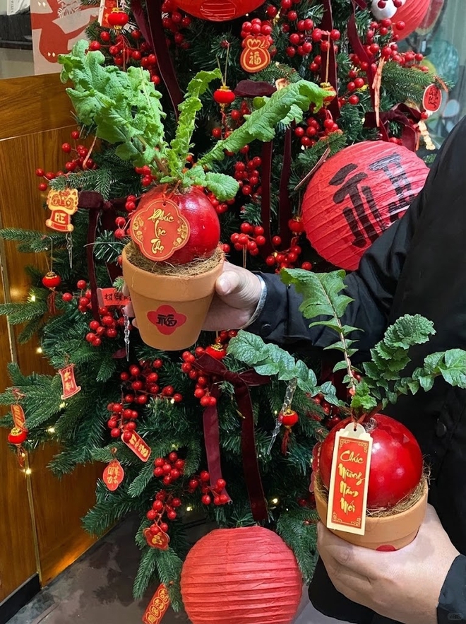 Trend lạ đón Tết: Ra chợ mua củ cải đỏ về cắm bình, ai ngờ thành chậu "Hồng Vận Đương Đầu" hút lộc cực xinh!- Ảnh 4. Trend lạ đón Tết: Ra chợ mua củ cải đỏ về cắm bình, ai ngờ thành chậu "Hồng Vận Đương Đầu" hút lộc cực xinh!- Ảnh 4.