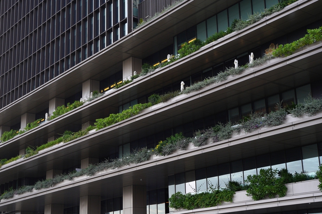 Tòa nhà cao thứ 3 TP.HCM lập tức soán ngôi đông khách nhất dịp lễ nhờ tung vườn hoa Tết khổng lồ- Ảnh 3.