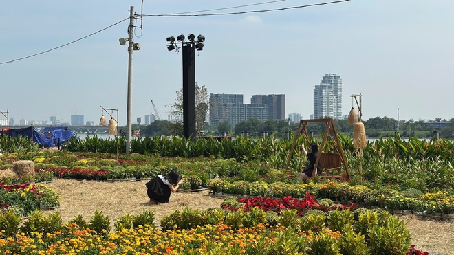 Tòa nhà cao thứ 3 TP.HCM lập tức soán ngôi đông khách nhất dịp lễ nhờ tung vườn hoa Tết khổng lồ- Ảnh 15.