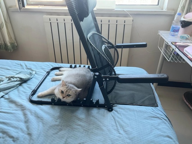 Nhìn lại 10 năm mua sắm, đây là 4 món tôi không hề hối hận- Ảnh 4.