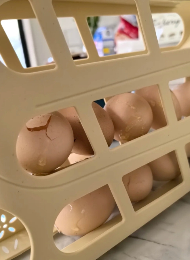 7 món hàng từng được tâng bốc lên mây, giờ nhiều gia đình coi là cú mua hớ bậc nhất- Ảnh 7. 7 món hàng từng được tâng bốc lên mây, giờ nhiều gia đình coi là cú mua hớ bậc nhất- Ảnh 7.