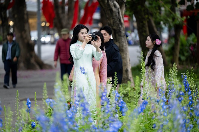 Hội nàng thơ Hà Nội vượt rét sâu đi chụp áo dài, "mặc kệ" cái lạnh co ro- Ảnh 4. Hội nàng thơ Hà Nội vượt rét sâu đi chụp áo dài, "mặc kệ" cái lạnh co ro- Ảnh 4.