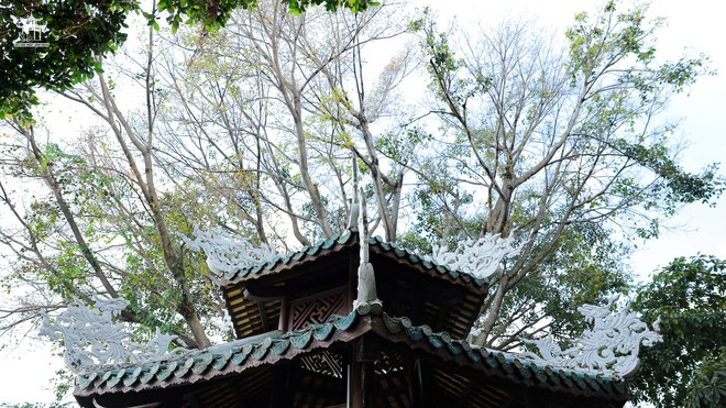 10 địa điểm chụp ảnh Tết miễn phí đang gây bão tại TP.HCM, vừa cổ kính lại đẹp tựa phim trường- Ảnh 14.