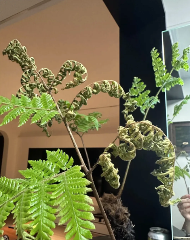 Buông bỏ là thượng sách: Tôi da diết khuyên bạn thẳng tay vứt 8 món "rác nhà" này- Ảnh 1. Buông bỏ là thượng sách: Tôi da diết khuyên bạn thẳng tay vứt 8 món "rác nhà" này- Ảnh 1.