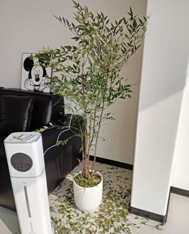 Buông bỏ là thượng sách: Tôi da diết khuyên bạn thẳng tay vứt 8 món "rác nhà" này- Ảnh 2. Buông bỏ là thượng sách: Tôi da diết khuyên bạn thẳng tay vứt 8 món "rác nhà" này- Ảnh 2.