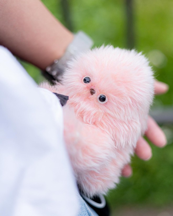 2026, Labubu có thể thất thế trước Mirumi: Bag charm đã "xinh iu" còn biết động đậy và có cảm xúc- Ảnh 6.