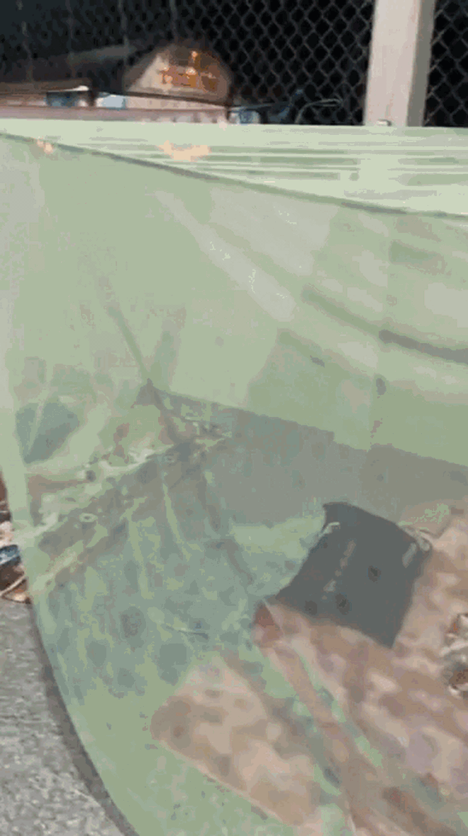 Cách người miền Tây ngủ- Ảnh 4. Cách người miền Tây ngủ- Ảnh 4.