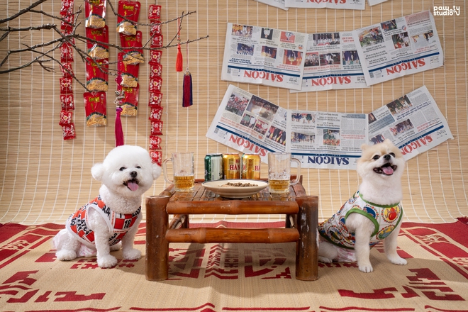 Dẫn thú cưng đến studio chuyên nghiệp, chụp ảnh chân dung ăn Tết: Dịch vụ đang hot, giá cả ra sao?- Ảnh 3.