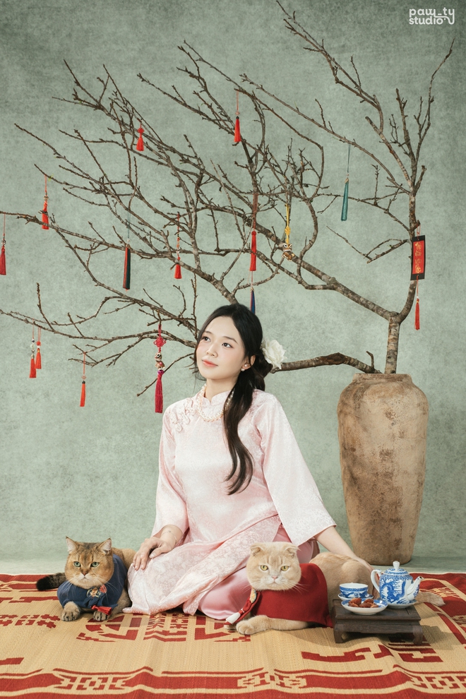 Dẫn thú cưng đến studio chuyên nghiệp, chụp ảnh chân dung ăn Tết: Dịch vụ đang hot, giá cả ra sao?- Ảnh 1.