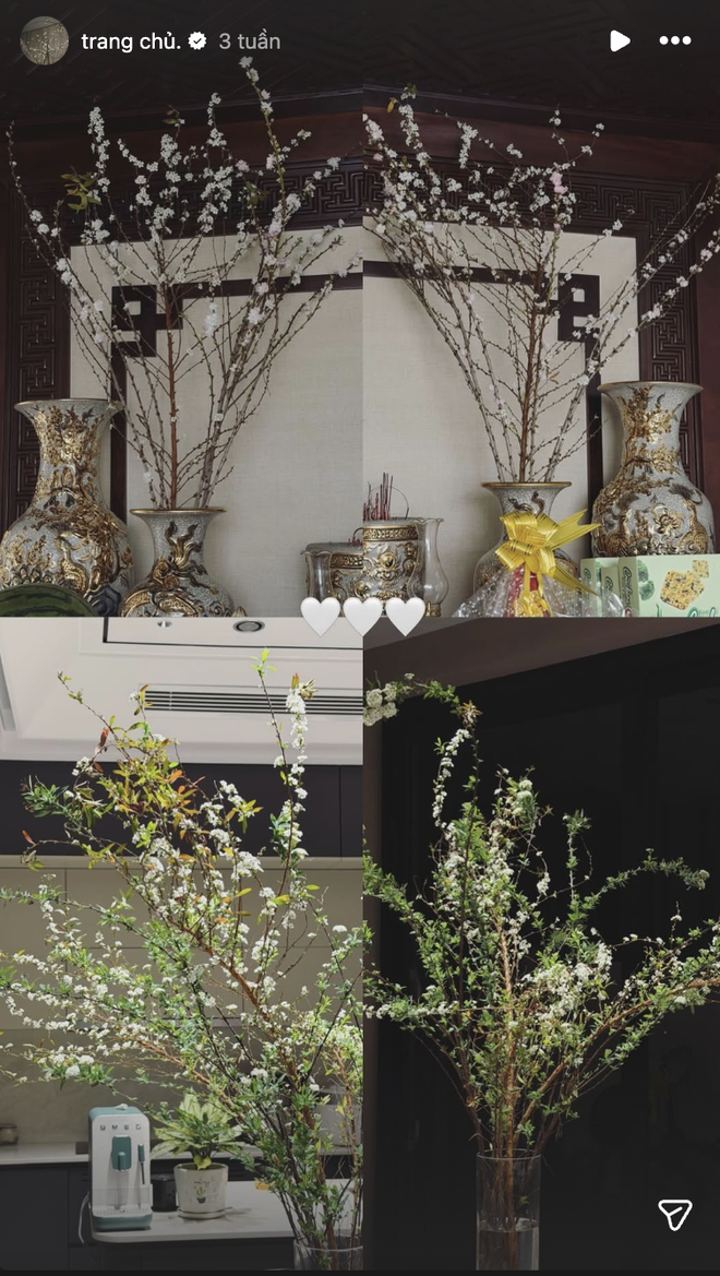 Biệt thự mấy chục tỷ nhà Đoàn Văn Hậu tràn ngập sắc hoa đón Tết, tiểu thư Doãn Hải My khéo chăm quá đi! - Ảnh 7.