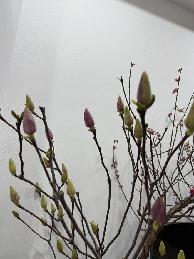 Bỏ tiền triệu mà vẫn "tàn canh gió lạnh", hội người nghị lực nhất Tết 2026 gọi tên dân chơi mộc lan - Ảnh 7.