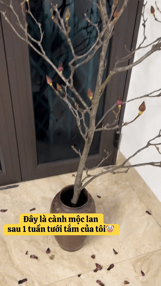 Bỏ tiền triệu mà vẫn "tàn canh gió lạnh", hội người nghị lực nhất Tết 2026 gọi tên dân chơi mộc lan - Ảnh 11.