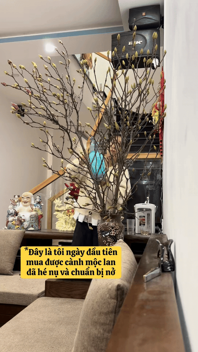 Bỏ tiền triệu mà vẫn "tàn canh gió lạnh", hội người nghị lực nhất Tết 2026 gọi tên dân chơi mộc lan - Ảnh 10.