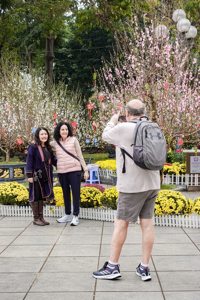 Khách Tây ngỡ ngàng trước vườn đào lớn chưa từng có nằm ngay giữa trung tâm Hà Nội- Ảnh 1.