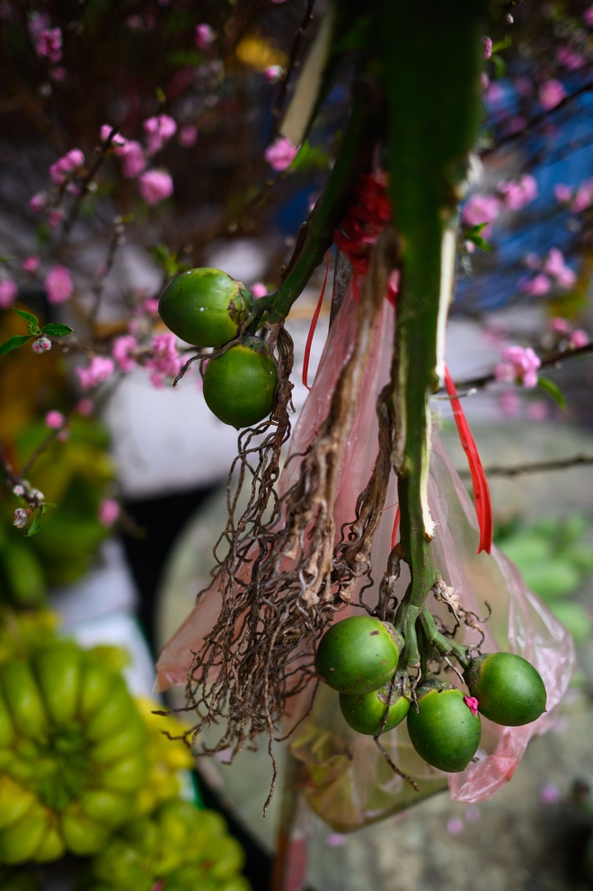 26 Tết rồi, ra mà xem Hà Nội đã đổi khác cỡ này! - Ảnh 7.