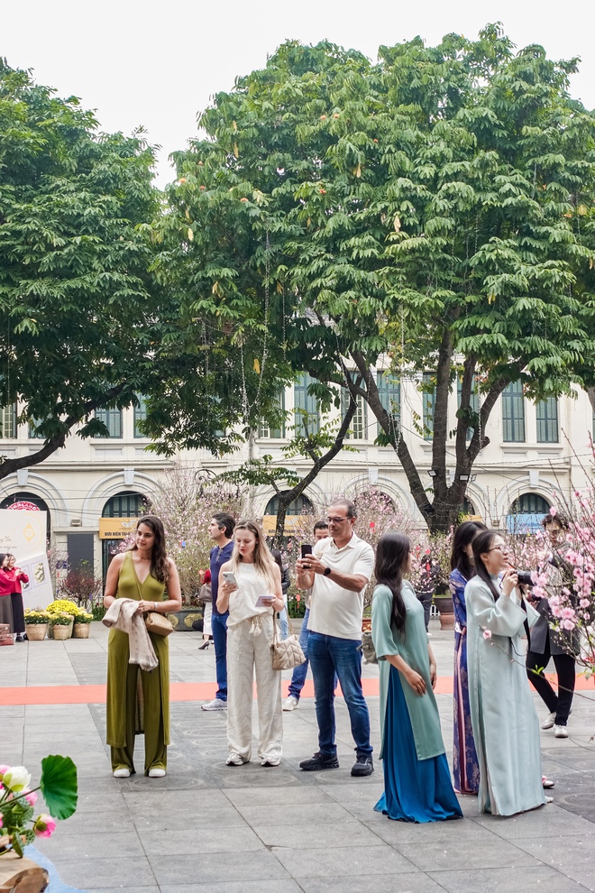 Khách Tây ngỡ ngàng trước vườn đào lớn chưa từng có nằm ngay giữa trung tâm Hà Nội- Ảnh 15.