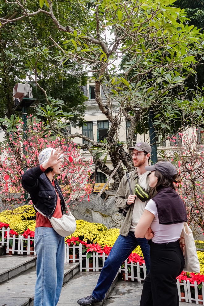 Khách Tây ngỡ ngàng trước vườn đào lớn chưa từng có nằm ngay giữa trung tâm Hà Nội- Ảnh 14.