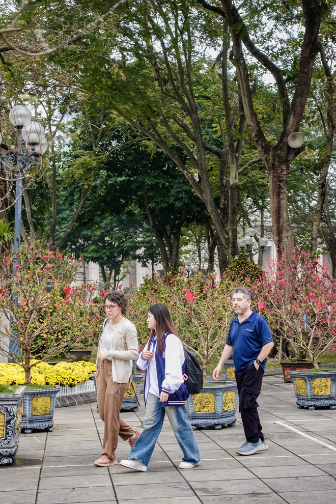 Khách Tây ngỡ ngàng trước vườn đào lớn chưa từng có nằm ngay giữa trung tâm Hà Nội- Ảnh 16.