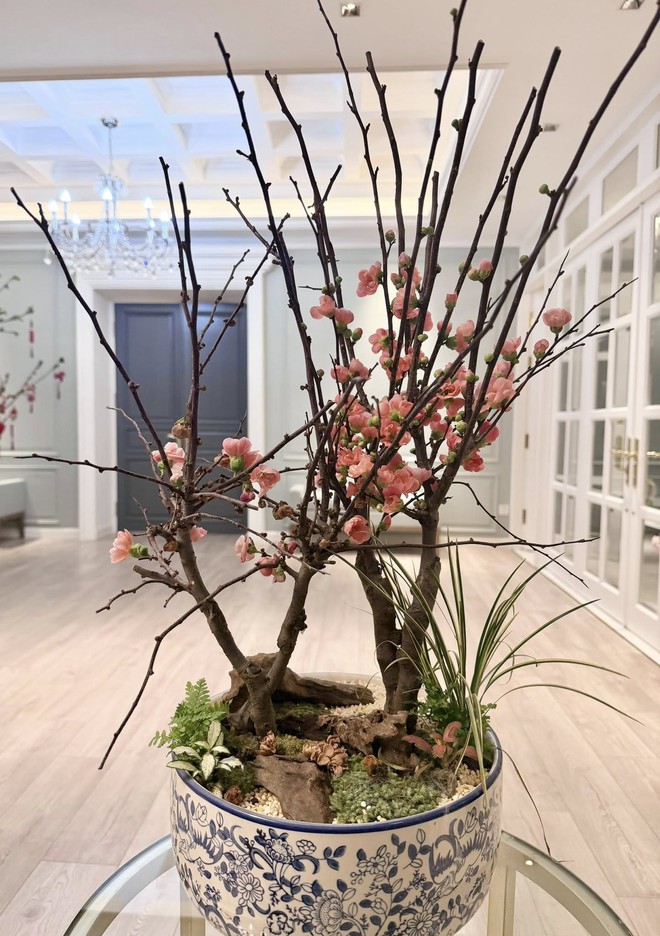 "Check-in" penthouse, biệt thự hội nhà giàu 27 Tết: Đường đua trang trí Tết chính thức tăng tốc! - Ảnh 11.