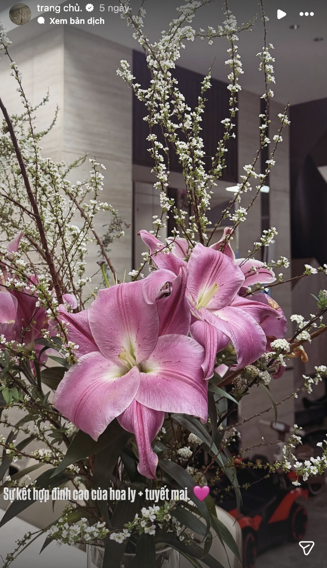 Doãn Hải My không khéo thì ai khéo: Được khen giỏi chăm biệt thự ngày Tết, liền nhắc đến mẹ chồng-mẹ đẻ, 10 điểm EQ - Ảnh 6.