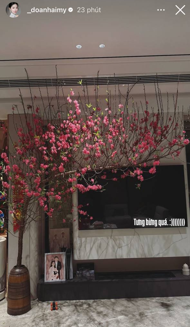 Doãn Hải My "sống 3 cuộc đời" ngày giáp Tết: Học Thạc sĩ Luật, chăm biệt thự, về quê chồng lại "lăn vào bếp" - Ảnh 4.