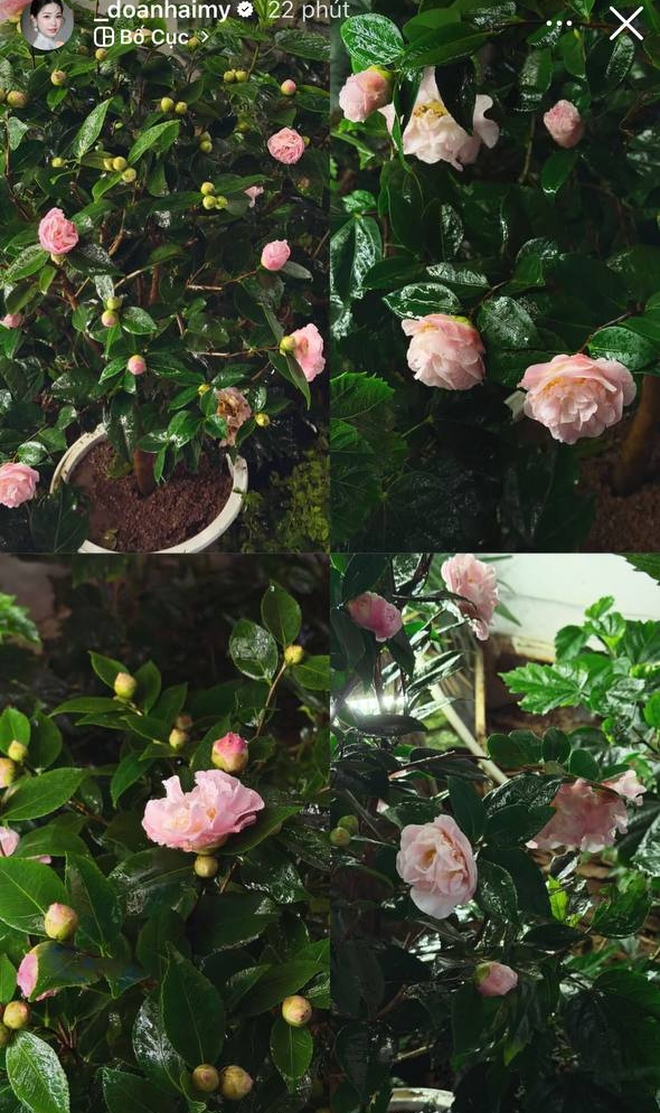 Doãn Hải My "sống 3 cuộc đời" ngày giáp Tết: Học Thạc sĩ Luật, chăm biệt thự, về quê chồng lại "lăn vào bếp" - Ảnh 5.