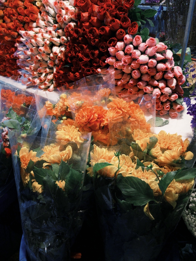 Phát điên vì hoa Tết năm nay!- Ảnh 2. Phát điên vì hoa Tết năm nay!- Ảnh 2.