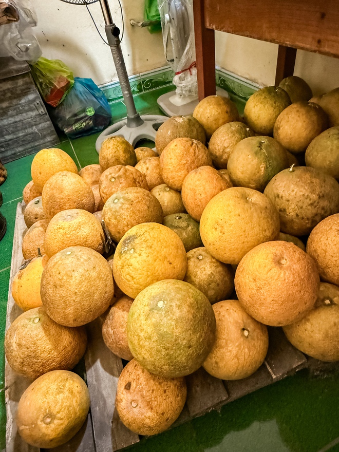 Cảnh tượng nhìn là biết Tết miền Bắc - Ảnh 2.