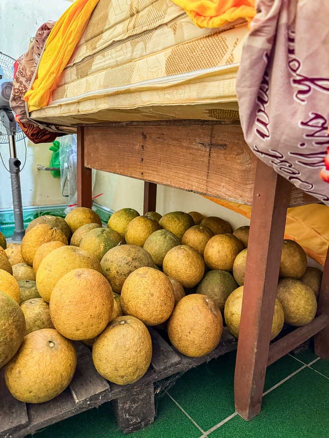 Cảnh tượng nhìn là biết Tết miền Bắc - Ảnh 1.