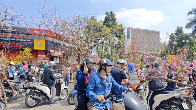 Chợ hoa 29 Tết: Tiểu thương hạ giá trước giờ G, không còn cảnh "đập chậu đốt hoa" như mọi năm - Ảnh 4.
