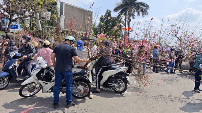 Chợ hoa 29 Tết: Tiểu thương hạ giá trước giờ G, không còn cảnh "đập chậu đốt hoa" như mọi năm - Ảnh 3.