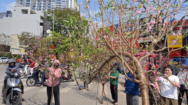 Chợ hoa 29 Tết: Tiểu thương hạ giá trước giờ G, không còn cảnh "đập chậu đốt hoa" như mọi năm - Ảnh 9.