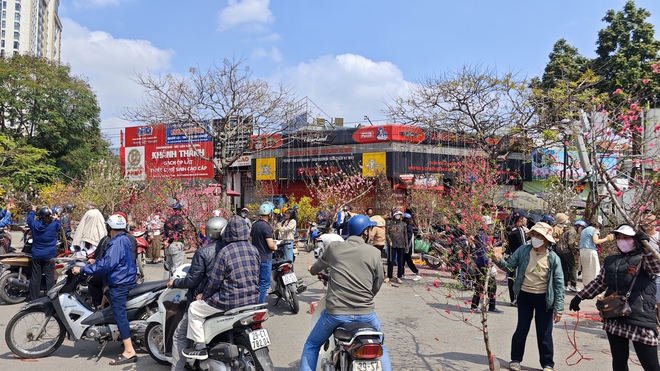 Chợ hoa 29 Tết: Tiểu thương hạ giá trước giờ G, không còn cảnh "đập chậu đốt hoa" như mọi năm - Ảnh 2.