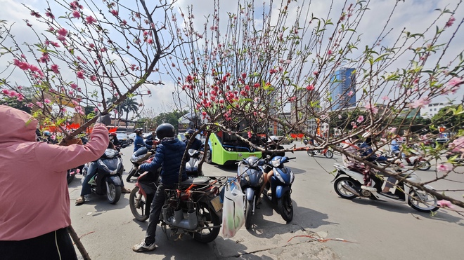 Chợ hoa 29 Tết: Tiểu thương hạ giá trước giờ G, không còn cảnh "đập chậu đốt hoa" như mọi năm - Ảnh 5.