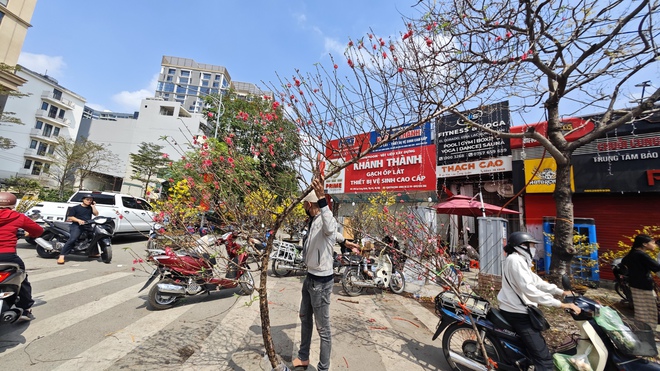 Chợ hoa 29 Tết: Tiểu thương hạ giá trước giờ G, không còn cảnh "đập chậu đốt hoa" như mọi năm - Ảnh 8.