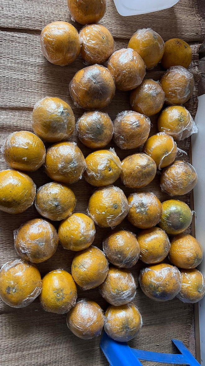 Cảnh tượng nhìn là biết Tết miền Bắc- Ảnh 7. Cảnh tượng nhìn là biết Tết miền Bắc- Ảnh 7.