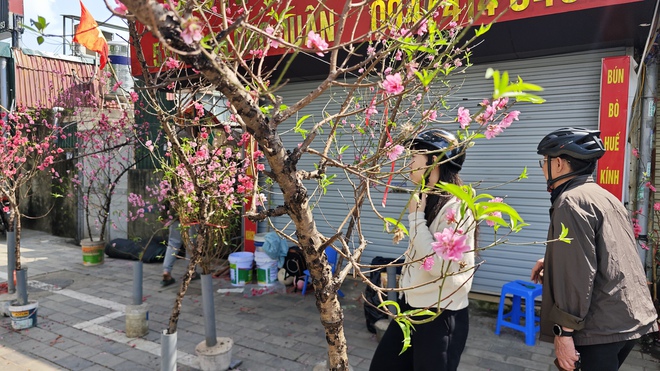 Chợ hoa 29 Tết: Tiểu thương hạ giá trước giờ G, không còn cảnh "đập chậu đốt hoa" như mọi năm - Ảnh 12.