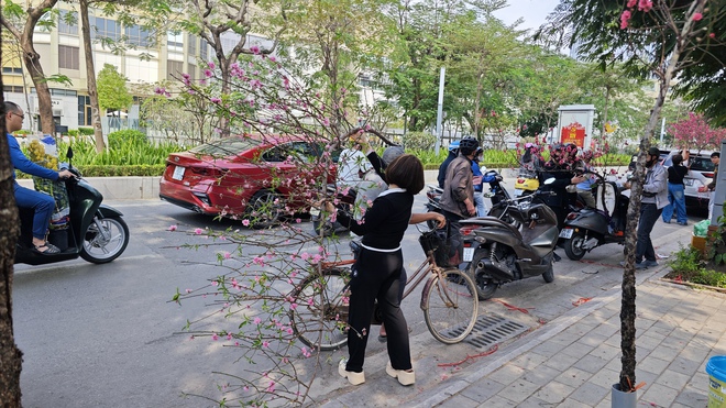 Chợ hoa 29 Tết: Tiểu thương hạ giá trước giờ G, không còn cảnh "đập chậu đốt hoa" như mọi năm - Ảnh 13.
