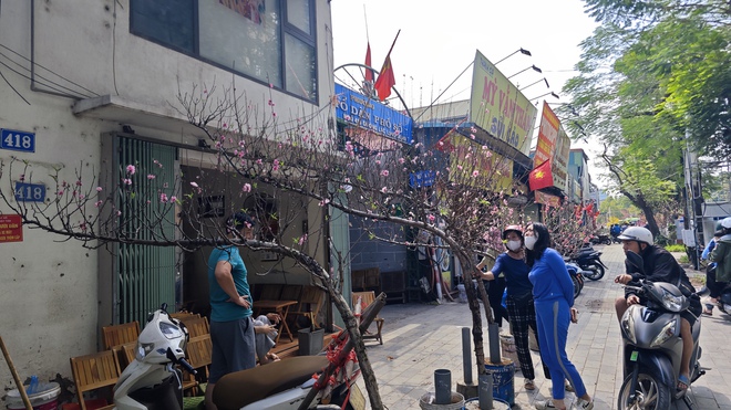 Chợ hoa 29 Tết: Tiểu thương hạ giá trước giờ G, không còn cảnh "đập chậu đốt hoa" như mọi năm - Ảnh 14.