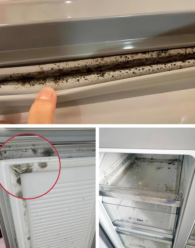 6 chỗ này bẩn gấp 10 lần nhà vệ sinh, rất nhiều người cả năm không lau lấy 1 lần- Ảnh 4. 6 chỗ này bẩn gấp 10 lần nhà vệ sinh, rất nhiều người cả năm không lau lấy 1 lần- Ảnh 4.