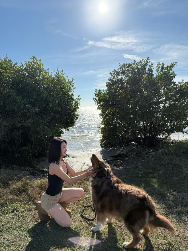 Louis Phạm chơi pickleball từ Việt Nam sang Mỹ vẫn… dở, ăn điểm ở vóc dáng sexy- Ảnh 5. Louis Phạm chơi pickleball từ Việt Nam sang Mỹ vẫn… dở, ăn điểm ở vóc dáng sexy- Ảnh 5.