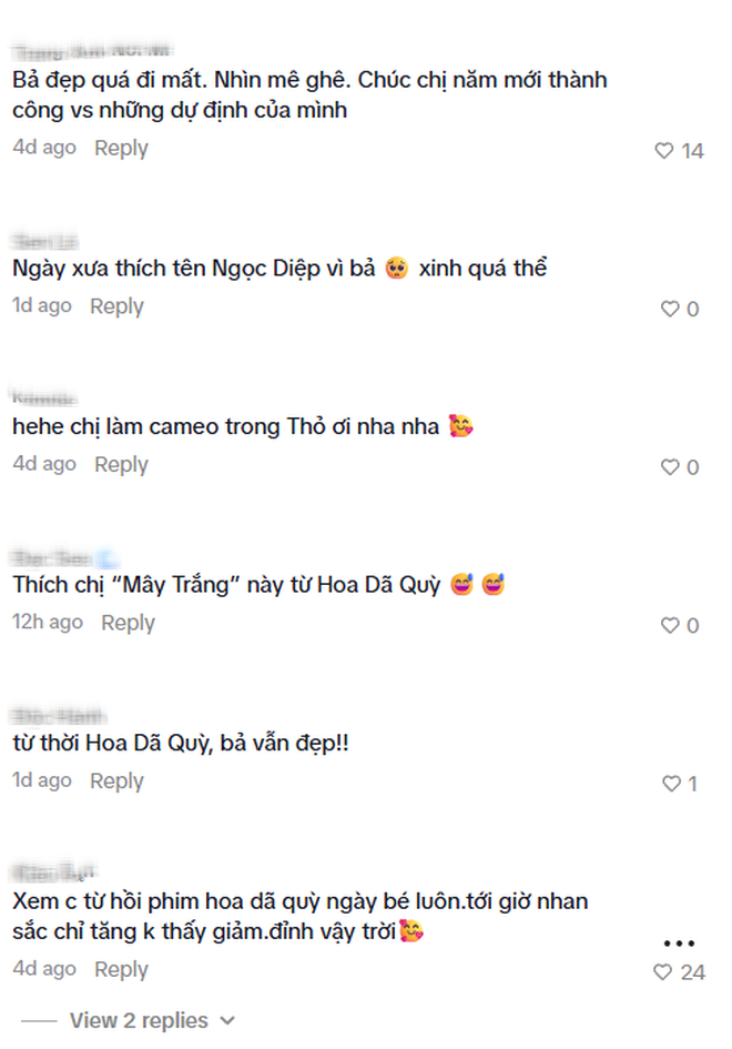 Vợ đạo diễn trăm tỷ khoe visual 20 năm không già nhưng vòng eo mỏng dính mới là tâm điểm- Ảnh 6.