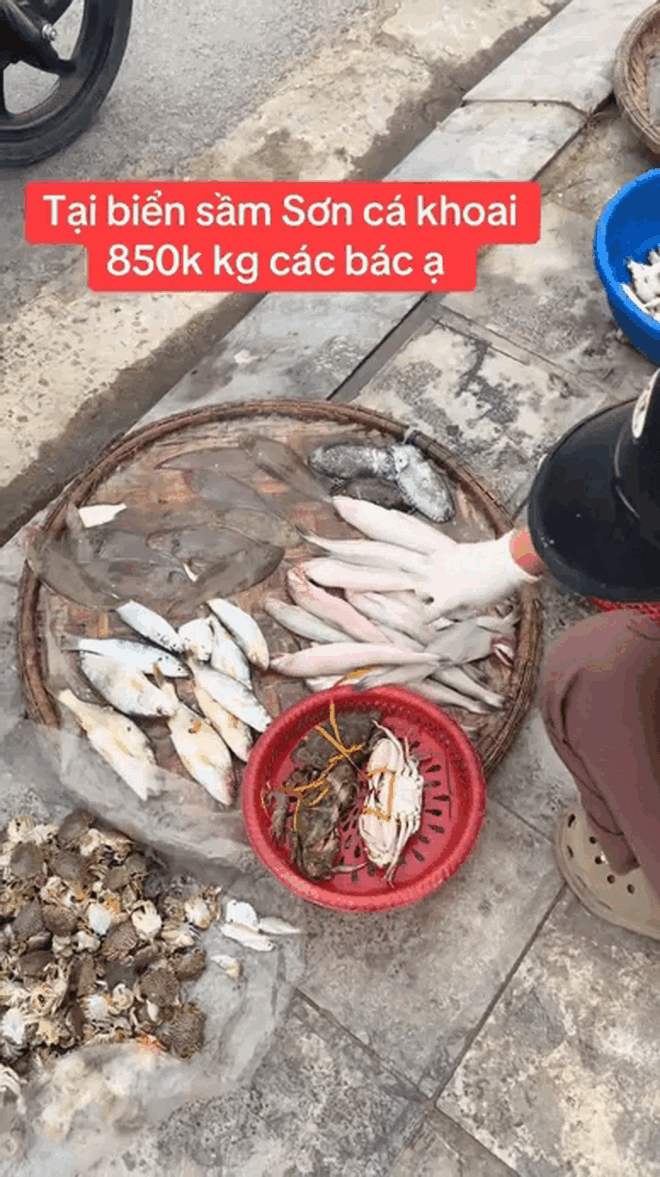 Loài cá mềm như cháo, "đặt vào môi trôi vào họng" giá 1 triệu đồng/kg "cháy hàng" ngày đầu năm, có tiền cũng khó mua - Ảnh 2.