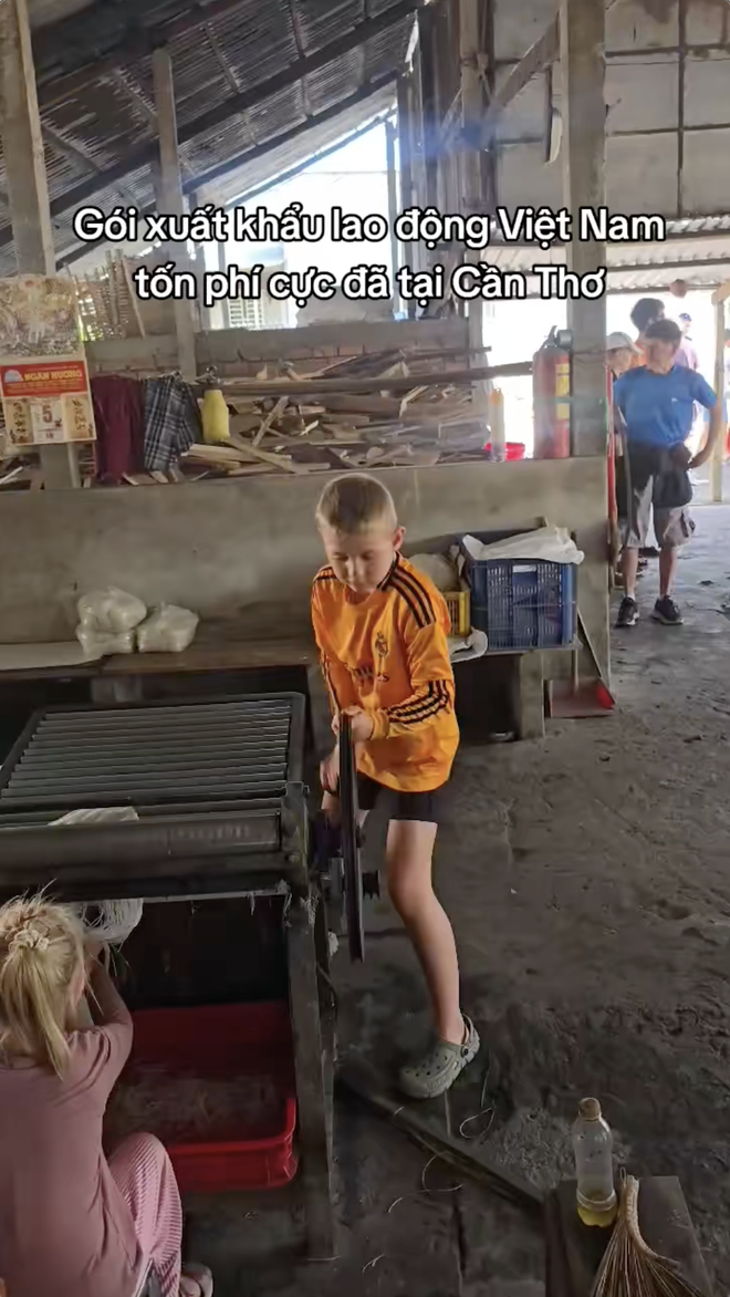 Nhóm khách Tây bỏ tiền triệu để đi “ở đợ” tại miền Tây - Ảnh 1.