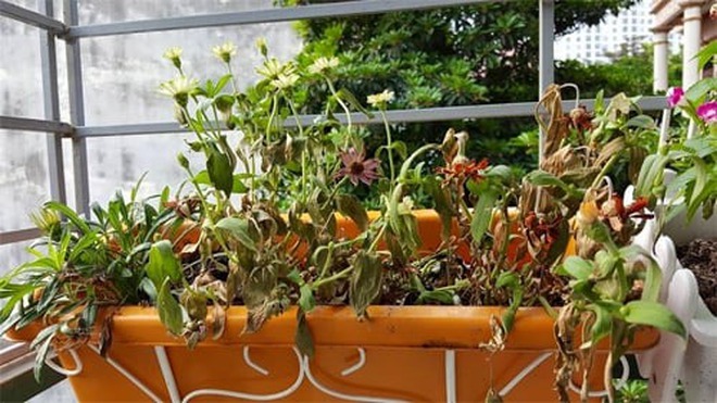 7 dấu hiệu nhận biết ngôi nhà "lỗi phong thủy": Càng ở càng bí bách, khó làm ăn- Ảnh 3.