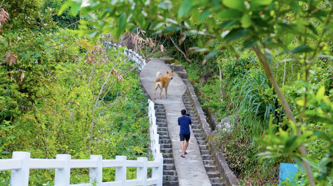 Bị bóc phốt thái độ chảnh chọe nhưng "hướng dẫn viên" ở Mũi Điện lại khiến ai cũng tranh nhau thuê- Ảnh 5. Bị bóc phốt thái độ chảnh chọe nhưng "hướng dẫn viên" ở Mũi Điện lại khiến ai cũng tranh nhau thuê- Ảnh 5.