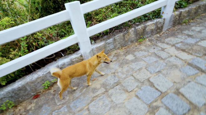 Bị bóc phốt thái độ chảnh chọe nhưng "hướng dẫn viên" ở Mũi Điện lại khiến ai cũng tranh nhau thuê- Ảnh 6. Bị bóc phốt thái độ chảnh chọe nhưng "hướng dẫn viên" ở Mũi Điện lại khiến ai cũng tranh nhau thuê- Ảnh 6.