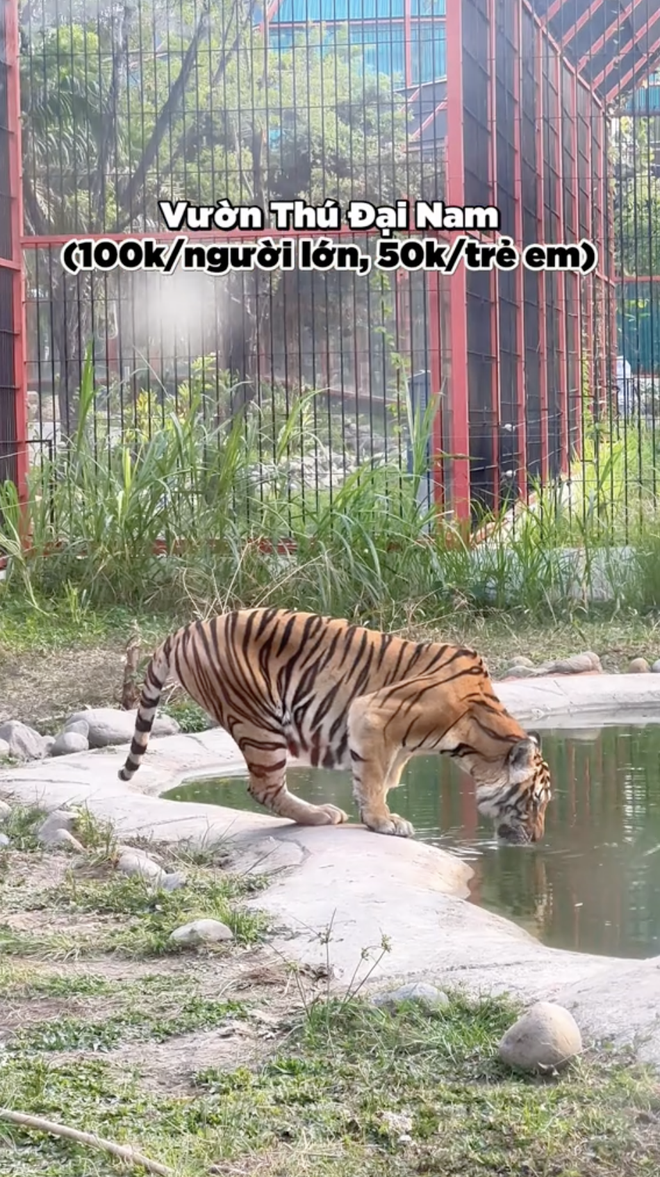 Sốc trước giá 23 trò chơi trong KDL Đại Nam của bà Nguyễn Phương Hằng: Cầm 500.000 đồng liệu chơi được mấy trò?  - Ảnh 24.